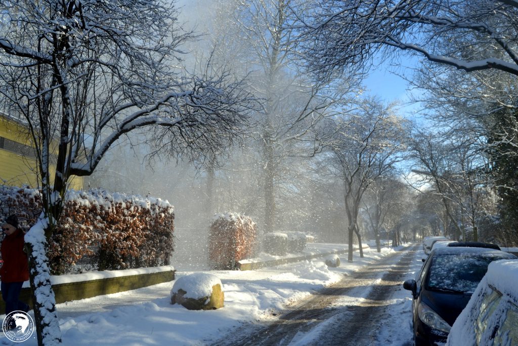 Winter, Impressionen, Schnee, Sonnenschein, Bergedorf, HEIDI VOM LANDE, Der Blog aus und für Bergedorf